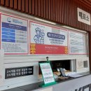 영종씨사이드 레일바이크 앞 티스토리