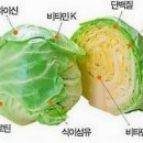 위캔짐 이미지