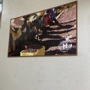 베리어스빈