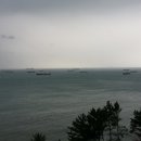 송이왕 아구찜 이미지