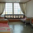 유성구종합복지센터 | 대전 노인요양원 요양센터 추천 및 정보 에벤에셀요양원 내 집 같은 편안함 제공