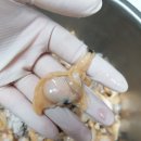 솔미한의원 이미지