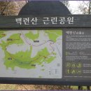 초록숲 이미지