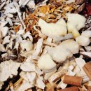 경희한사랑한의원 이미지