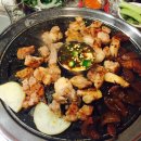 육덕돼지 이미지