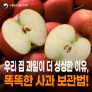 과일이맛있는집 - 서구 관저중로95번길 99 | 과일이맛있는집