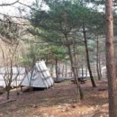 그린캠핑장 이미지