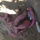 황토방 한정식 이미지