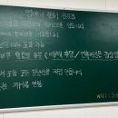 영이네물회