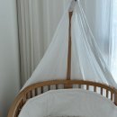 로아동물병원 | 둘째 출산 준비 기록 - 32~34주