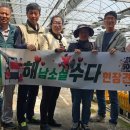 혜란농장 이미지