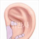 귀 건강학(이혈테라피) 네이버블로그