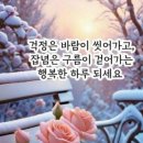모심 이미지