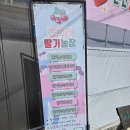 내기농장 | 대전근교 딸기체험 논산 온누리딸기농장 후기 아이들과 가볼만한곳
