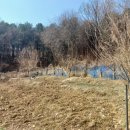 이원택농장 이미지