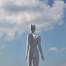 그림자의 그림자(홀 이미지