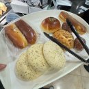 맘모스숯불갈비 이미지