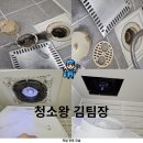 두미포로 이미지