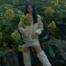 신민아 카카오 검색결과