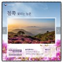 철쭉피는황매골마을 이미지