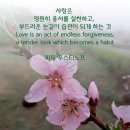 부부열쇠 Daum카페