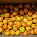 지운농장 이미지