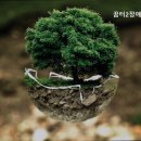 꿈터장애인주간보호센터 네이버블로그