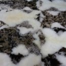 스타항균세탁 이미지