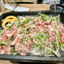 쌍쌍오리한마당 이미지