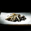 선진한의원 이미지