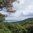 르노코리아  남광주 정비사업소 | 광주전남 사고대차 QM6 차량