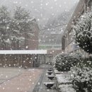 신남중학교 이미지