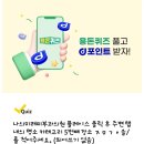 퀴즈펜션 이미지