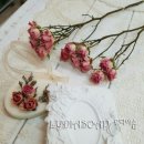 루디아디자인
