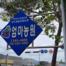 엄마사랑농원