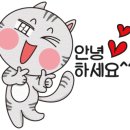 비케이티 이미지