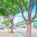 대구 용계 정류소 시외 고속 버스터미널 시간표 국내 버스여행
