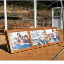 수평목장 이미지