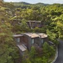 포레스트리솜 이미지