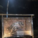 도화1동 | 인천의 밤을 수놓는 빛의 정원, '수봉공원' 야간 산책기(벚꽃,주차꿀팁 포함)