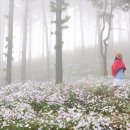 율곡수목원(2) 이미지