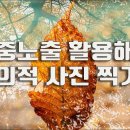 다중노출 기법으로 창의적인 단풍사진 찍기 / 다중노출 촬영법 / 가을사진 잘 찍는법 / 창의적인 사진찍기 / 사진강좌 이미지