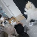 대동환경(주) | 5월 일상일기 (혜화 데이트, 연극 한뼘사이, 명동성당, 광명동굴, 참소예, 하루만에 입퇴사 후기 등)