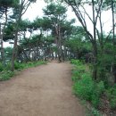 목감-6(목감약수터) | 한남정맥 마루금잇기20100626