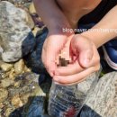 늘푸른쉼터캠핑장 이미지