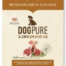 이편한도그 이미지