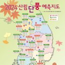 신곡약수터 | 찰나 같은 가을🍁알록달록 단풍 명소 5곳 제대로 즐기는 방법🔎2024년 단풍 예측 지도 확인하세요~🍂
