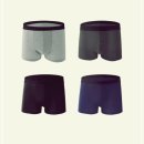 대성(4종)