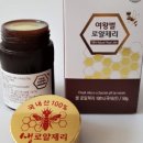 여왕벌마켓