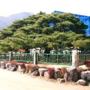 운문사사리암주차장 이미지